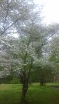 20190407_175405.jpg
