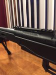Bergara4.jpg