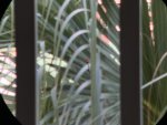 4903B8B1-8BA3-42A5-8B97-BFB48C6DE9D0.jpeg