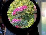 scope pics.jpg