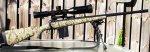 Savage Arms 10FCP-SR Honey Badger.jpg