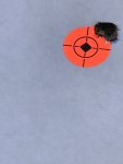 A5C0389C-E248-4AE7-A443-87901468F7F2.jpeg