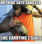 funny-gangsta-holding-two-seals-pics.jpg