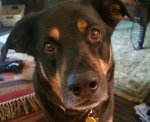 Resized_20180508_151725_6733.jpeg