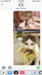 549152CC-2D03-4BD5-B4A1-CC3BA19BB4FF.png