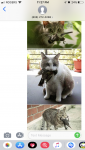 60E38347-3576-46AB-A0EE-8CD631171FDD.png