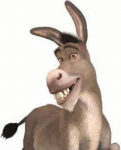 Donkey_1.png