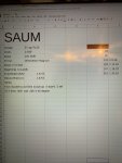 SAUM 4.jpg