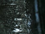IMG110101-001249F.JPG