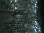 IMG110101-001411F.JPG