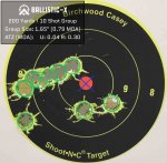 308-10-shot-group.jpeg
