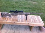 rifle3.jpg rifle3.jpg