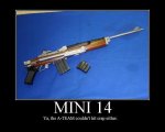 Mini14.jpg