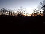 20200124_065531.jpg
