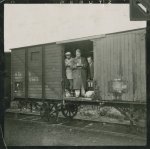 Cattle car 1.jpg