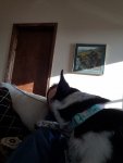 20200219_084955.jpg