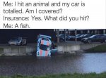 ff_4785.jpg