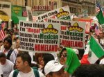 illegalimmigration.jpg