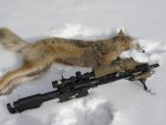 jan 2020 1st yote.JPG