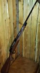 shaw375-1.jpg shaw375-1.jpg