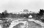 Widmer-Into-the-swamp-Featured-New.jpg