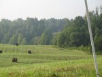 IMG_0761.jpg