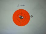 260 40.2 varget 130 berger 300 yards.jpg