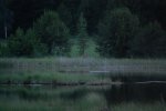 image_87347.jpg image_87347.jpg