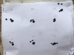 9E699980-5D11-430B-9ED1-0FEB56EE46BC.jpeg