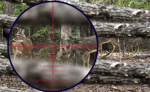 Loophole-Looking-out-a-blind_Hunting.png Loophole-Looking-out-a-blind_Hunting.png