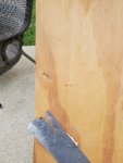 20200811_195836.jpg