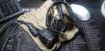 20200819_043633.jpg