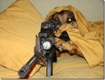 dogsniper_zps756dd1f1.jpg