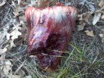 elk heart.jpg