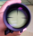 20200814_093957.jpg