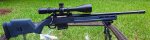 ruger.jpeg