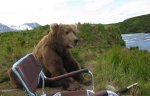 bear-and-photographer.jpg.optimal[1].jpg