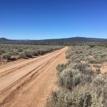 IMG_0323.jpeg
