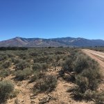 IMG_0317.jpeg
