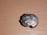 IMG_20201026_115005238.jpg