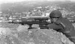 IDF_M14_early_Wild_Herrbrugg_scope.jpg