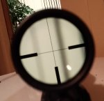 _20201108_191048.JPG