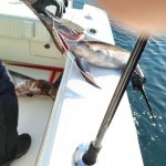 IMG_20201109_200129_312.jpg