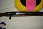 DSC00011.JPG