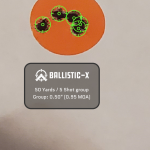 Ballistic-X-Export-2020-11-06 231705.388703.png