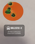 Ballistic-X-Export-2020-11-06 232015.577673.png