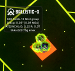 Ballistic-X-Export-2020-11-24 18:02:46.500802.png