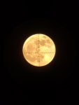 20201129_175111.jpg