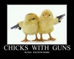 Chicks with Guns.jpg