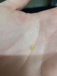 20201217_191540.jpg
